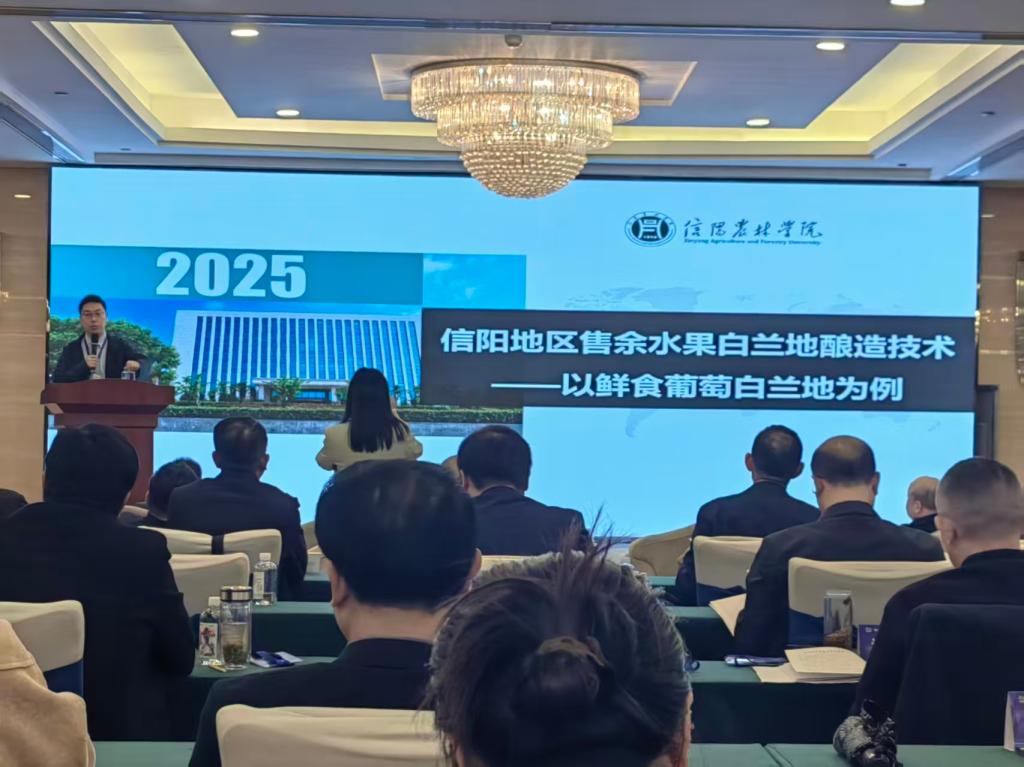 33187247f86561cc5258416b20704ea9 33187247f86561cc5258416b20704ea9