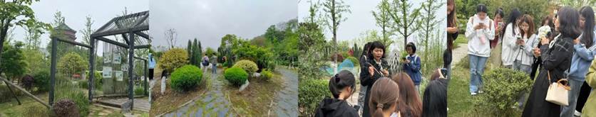 树林前的花园里有一群人 描述已自动生成