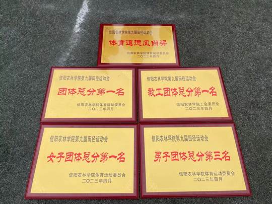 图示, 示意图 中度可信度描述已自动生成:ver1