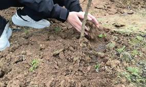 38c30f667164e215704cd3df6bdf83fa