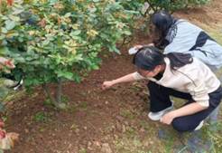 b73fab08878b847d21b82b5ed6ae3b88