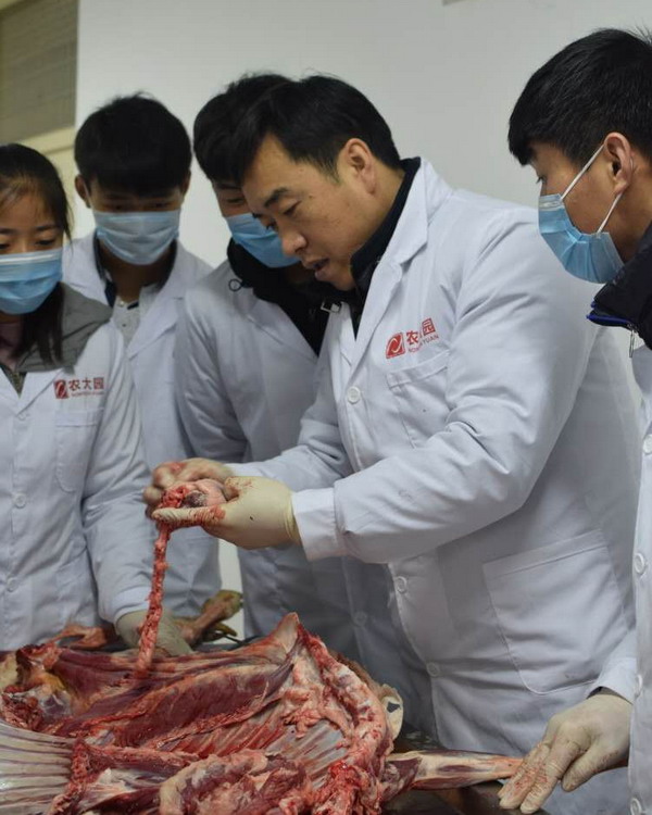 而此次的动物实地解剖教学进一步让学生加深对课本