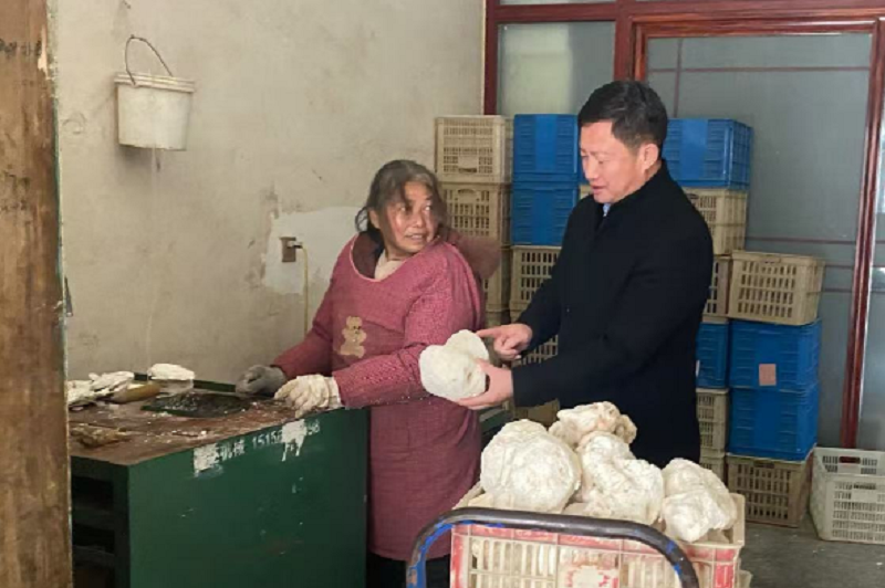 我校专家深入信阳道地药材产区调研